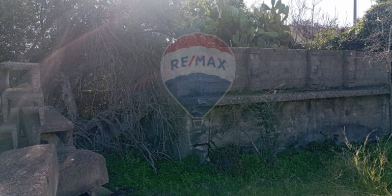 20250221105940-930988-7