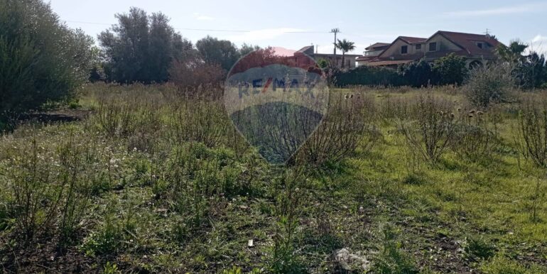 20250221105940-930988-8