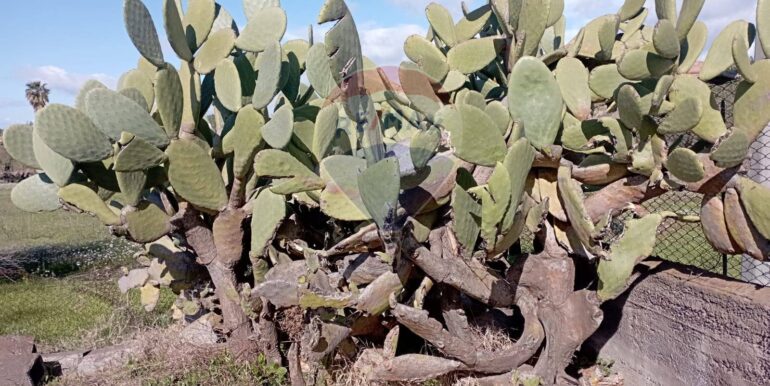 20250221105940-930988-9