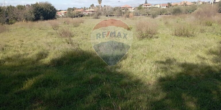 20250221105941-930988-11