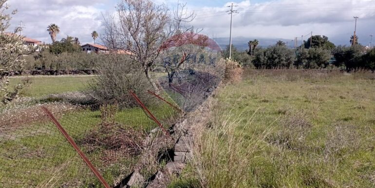 20250221105941-930988-12