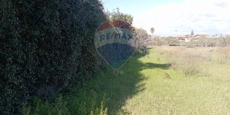 20250221105941-930988-14