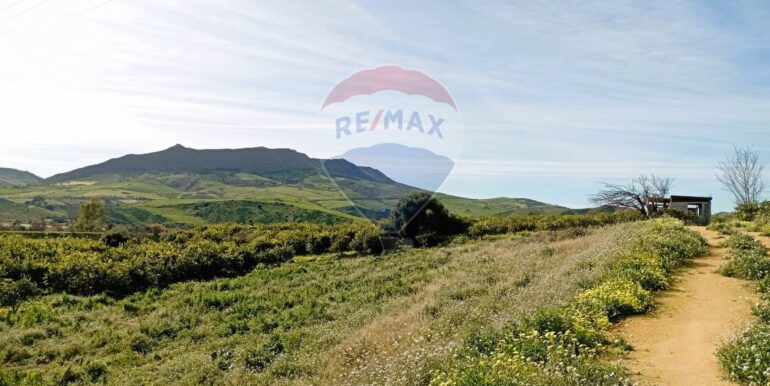 20250222104047-931216-1