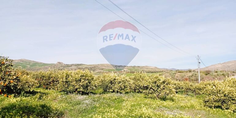 20250222104049-931216-2