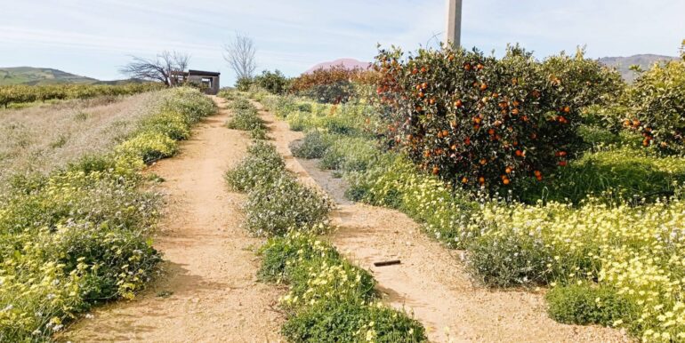 20250222104051-931216-3