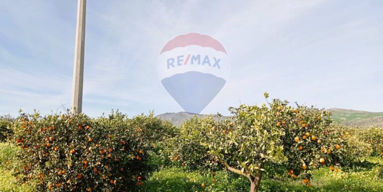 20250222104053-931216-4