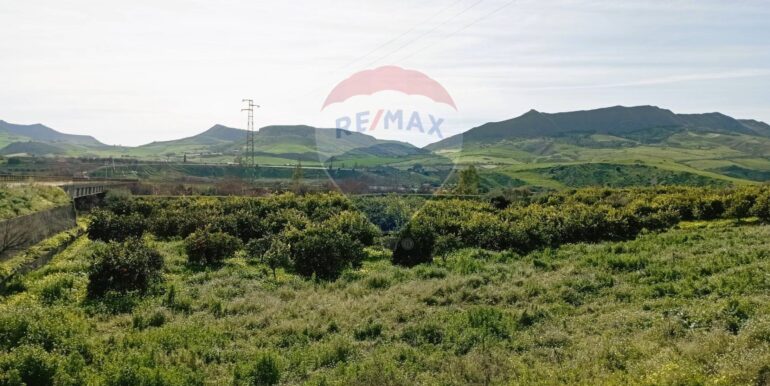 20250222104055-931216-5