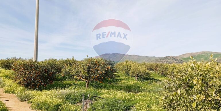 20250222104057-931216-6