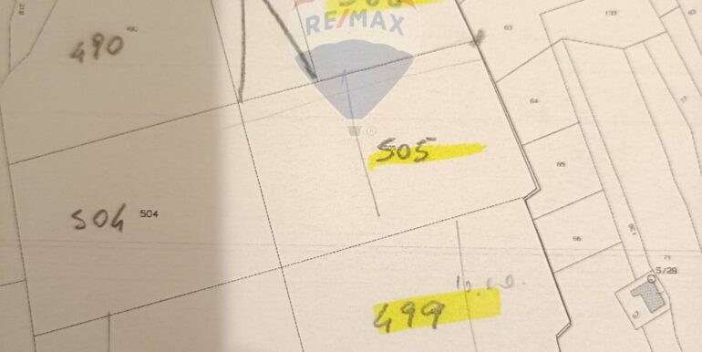 20250224194240-932203-1