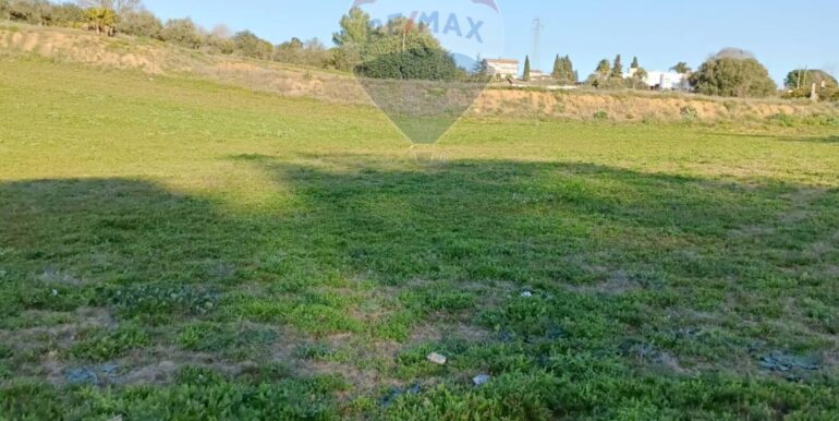 20250224194242-932203-2