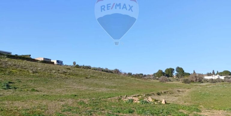 20250224194246-932203-4