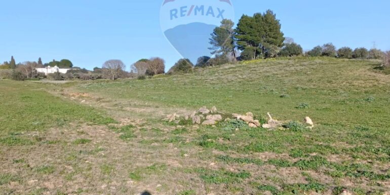 20250224194252-932203-6