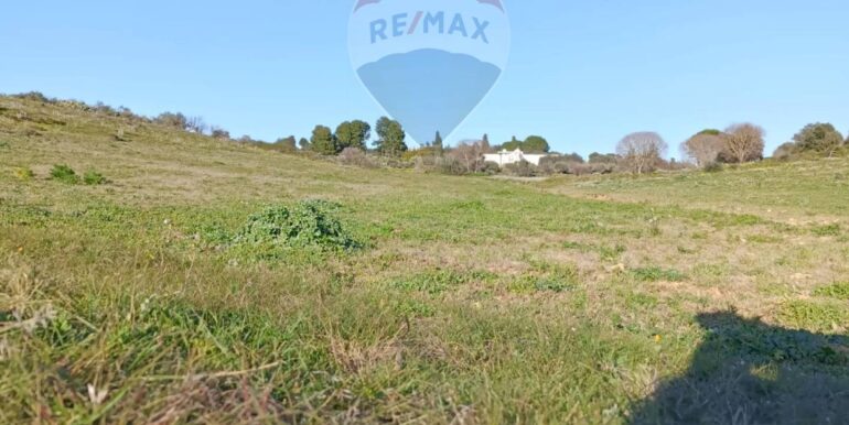 20250224194254-932203-7