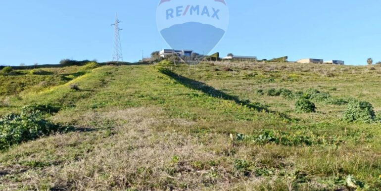 20250224194256-932203-8