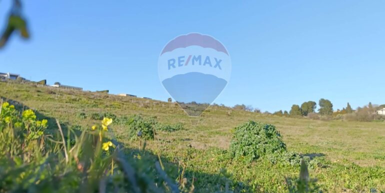 20250224194303-932203-11