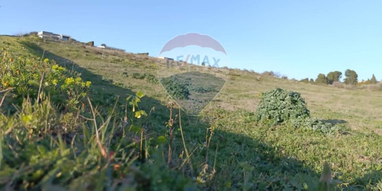 20250224194305-932203-12