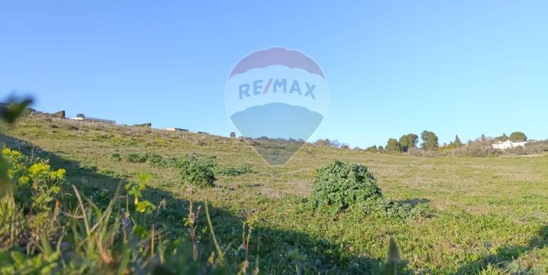 20250224194306-932203-13