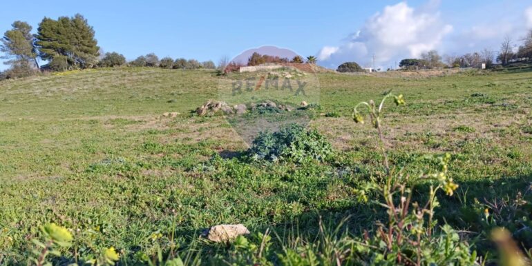 20250224194309-932203-14