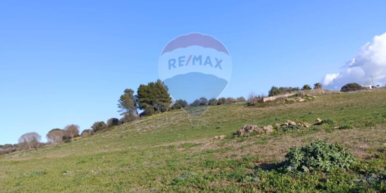 20250224194311-932203-15