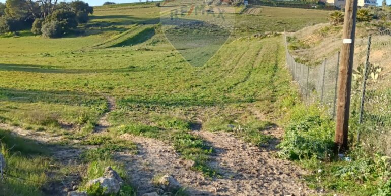 20250224194316-932203-17