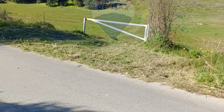 20250224194346-932203-18