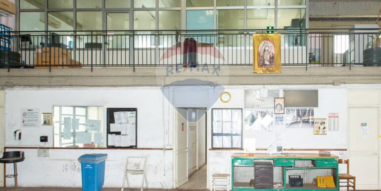 20250225212057-932435-7