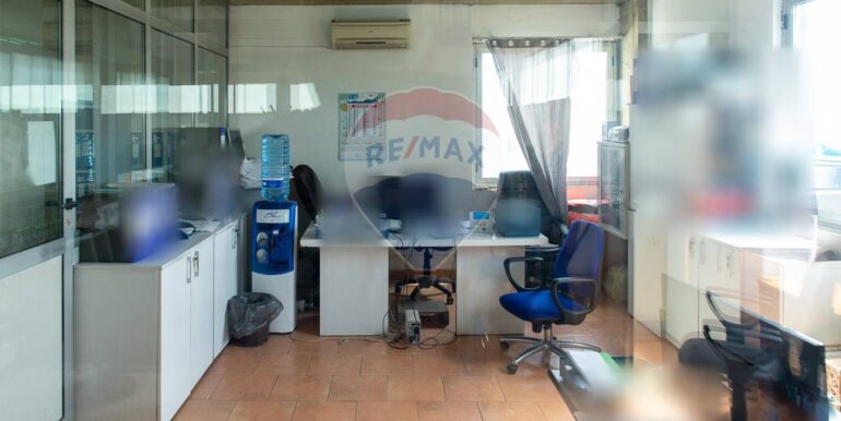 20250225212101-932435-10