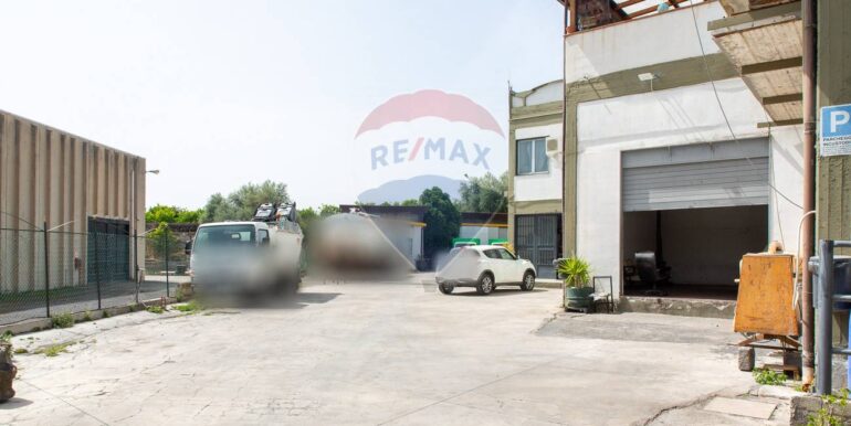 20250225212121-932435-24