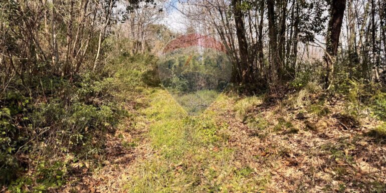 20250226123140-932531-1