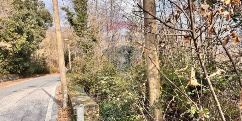 20250226123206-932531-5