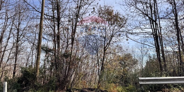 20250226123212-932531-6