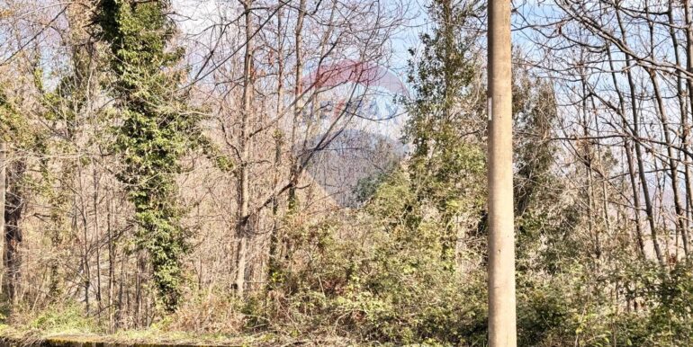 20250226123217-932531-7