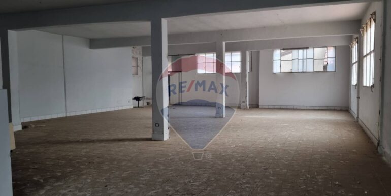 20250228114602-933144-1