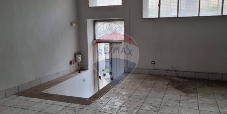 20250228114605-933144-3