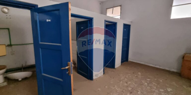 20250228114608-933144-5