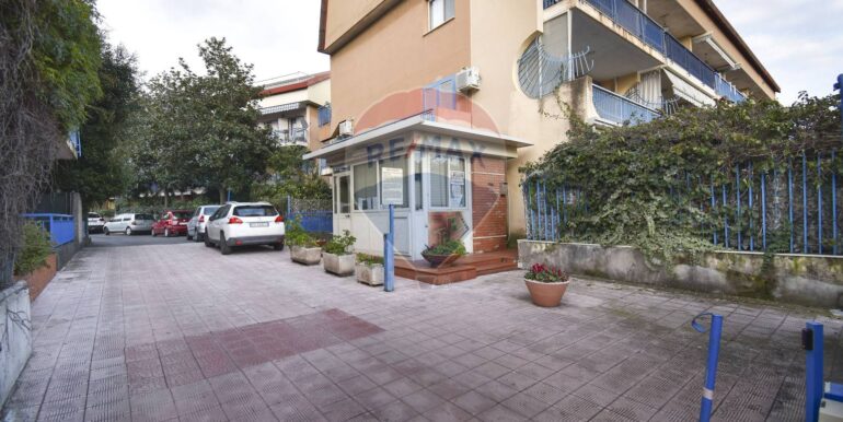 20250228204315-933364-2