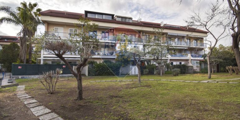 20250228204317-933364-3