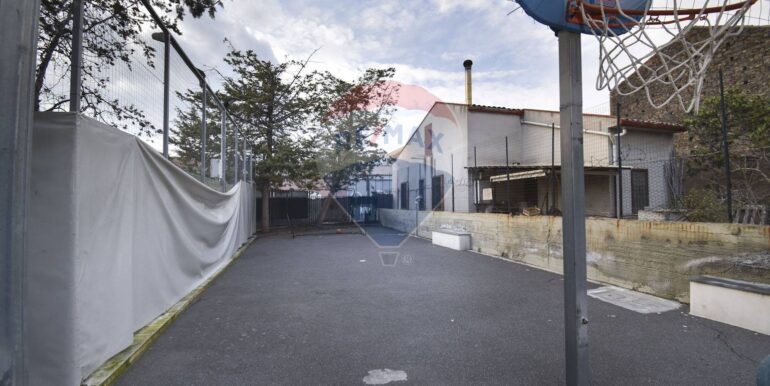 20250228204320-933364-5