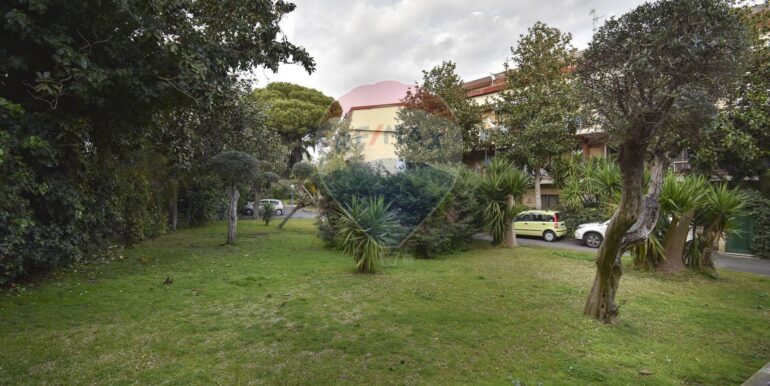 20250228204322-933364-6