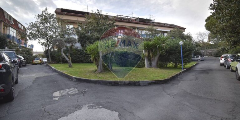 20250228204323-933364-7