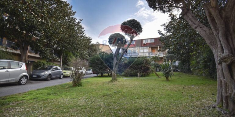 20250228204325-933364-8