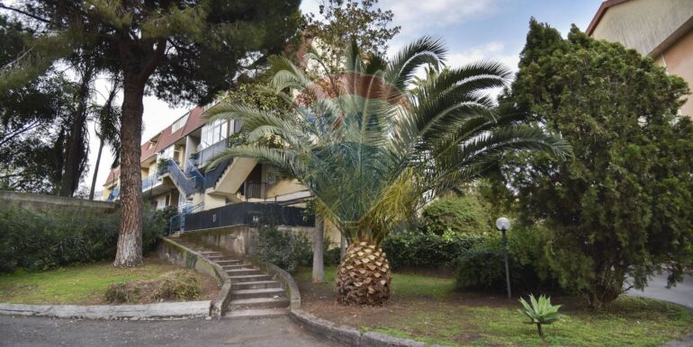 20250228204327-933364-9