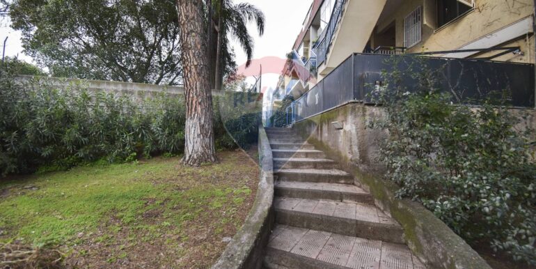 20250228204329-933364-10