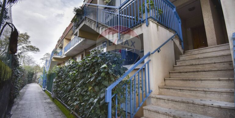 20250228204331-933364-11