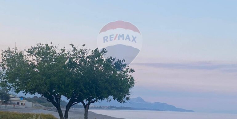 20250304121334-933802-28