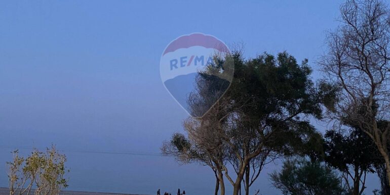 20250304121337-933802-43