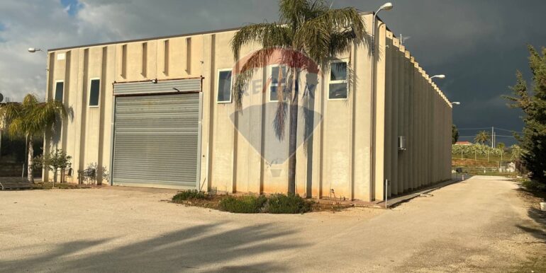 20250305111647-933406-4