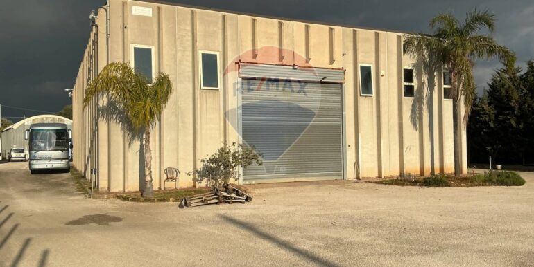 20250305111653-933406-6