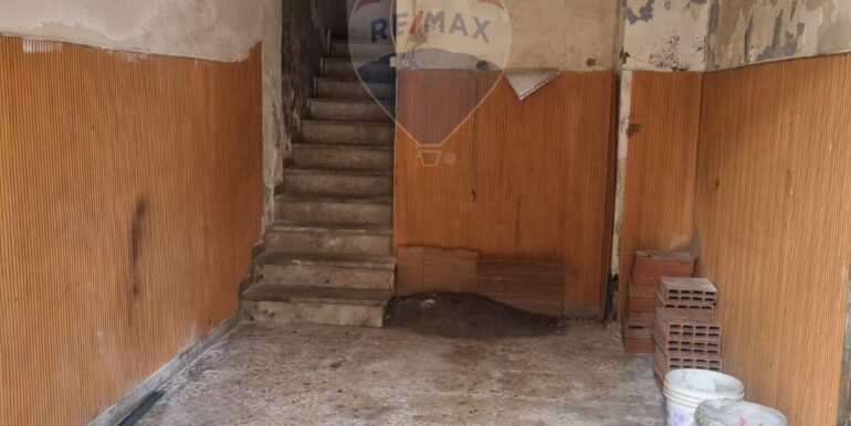 20250306105132-934251-1