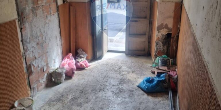 20250306105134-934251-2